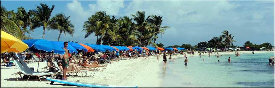 Looking along our beach