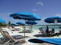 Beach and umbrellas