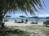 Beach and Coconuts